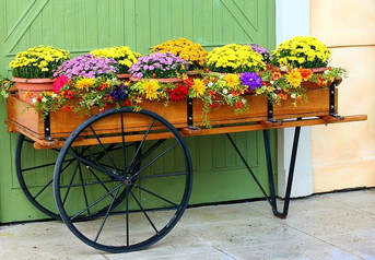 The ideal container for your garden
